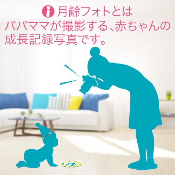マンスリー シール 月齢フォトステッカー ステッカー 写真 赤ちゃん 記念日 人気新品 インスタ 記念 記念撮影 アルバム ベビー 月齢