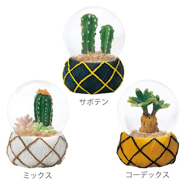 スノードーム テラリウム L 多肉植物 完成品 スノーグローブ ウォーターグローブ 植物 リビングート Paypayモール店 通販 Paypayモール