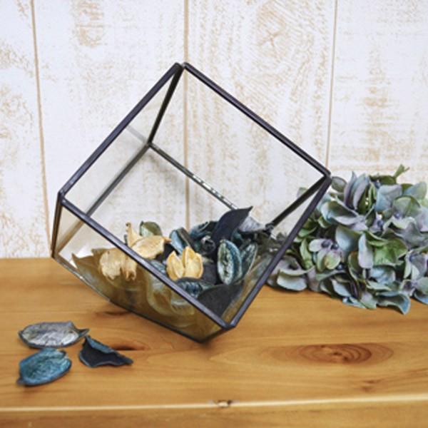 テラリウム スクエア S ガラス ディスプレイケース （ ガラス容器 栽培