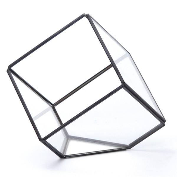 テラリウム スクエア S ガラス ディスプレイケース （ ガラス容器 栽培