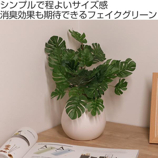 人工観葉植物 モンステラ 19cm フェイクグリーン 造花 光触媒 （ ミニ 卓上 人工植物 フェイク アートグリーン ）｜livingut｜02