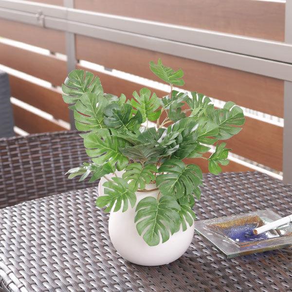 人工観葉植物 モンステラ 19cm フェイクグリーン 造花 光触媒 （ ミニ