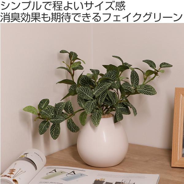 人工観葉植物 フィットニア 18cm フェイクグリーン 造花 光触媒 人工観葉植物 フィットニア 18cm フェイクグリーン 造花 光触媒