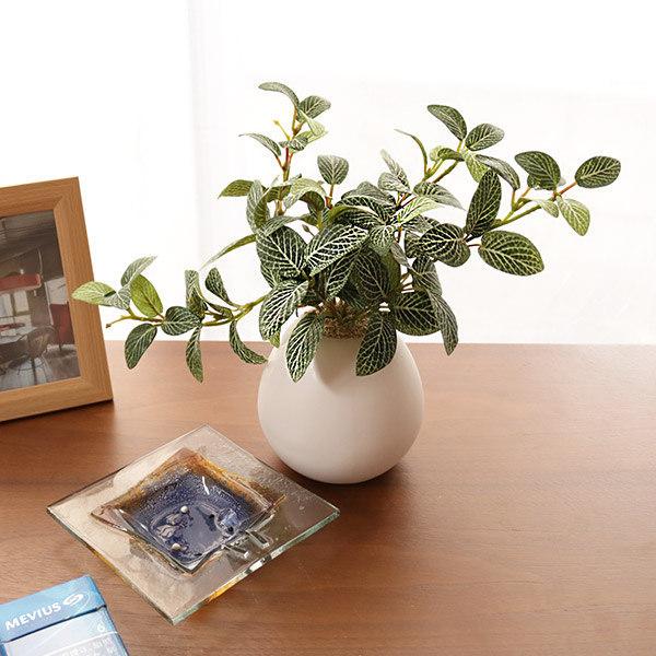 人工観葉植物 フィットニア 18cm フェイクグリーン 造花 光触媒 人工観葉植物 フィットニア 18cm フェイクグリーン 造花 光触媒