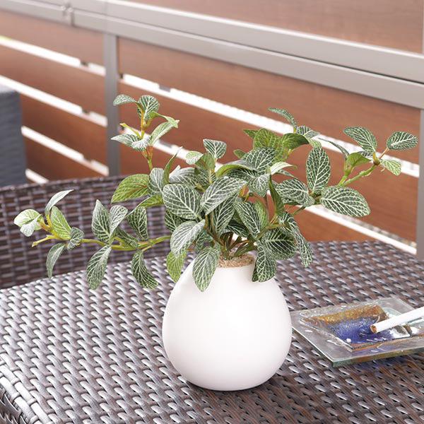 人工観葉植物 フィットニア 18cm フェイクグリーン 造花 光触媒 人工観葉植物 フィットニア 18cm フェイクグリーン 造花 光触媒