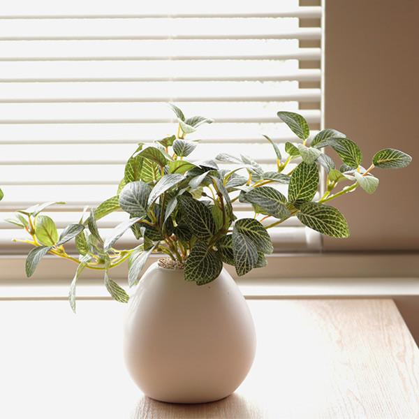 人工観葉植物 フィットニア 18cm フェイクグリーン 造花 光触媒 人工観葉植物 フィットニア 18cm フェイクグリーン 造花 光触媒