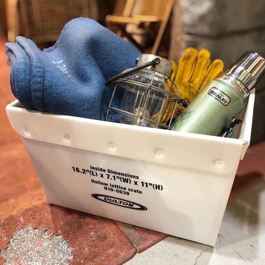 収納ボックス ホロウ ラティス クレート L （ 幅50×奥行27×高さ