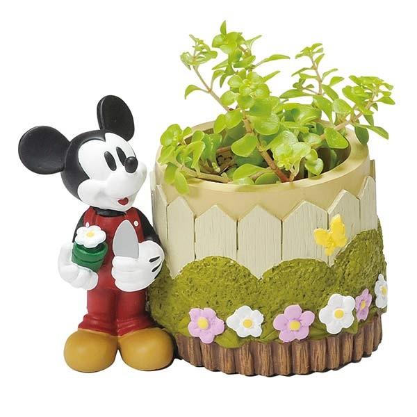 最終価格！ミッキーマウス ガーデン 陶器プランター Disney ミニプランター ミッキーマウス （ 植木鉢 鉢 園芸用品