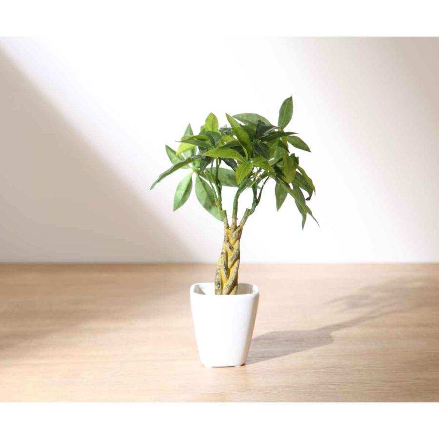 光触媒 人工観葉植物 ウォールグリーン フェイク フラワー 光触媒 人工観葉植物 ウォールグリーン フェイク フラワー