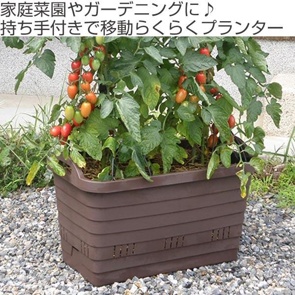 プランター ハンディプランター スマート菜園 長方形 （ 植木鉢 鉢 園芸用品 ガーデニング ）｜livingut｜04