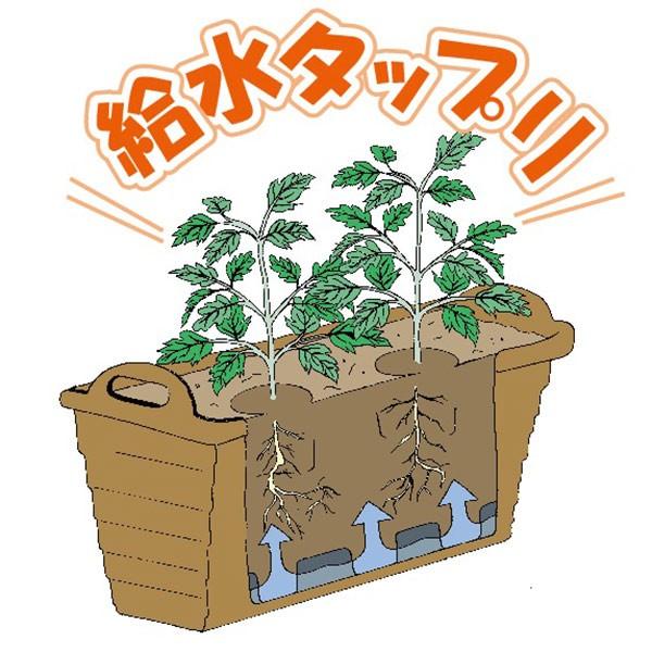 プランター ハンディプランター スマート菜園 長方形 3個セット （ 植木鉢 鉢 園芸用品 ガーデニング ）｜livingut｜12