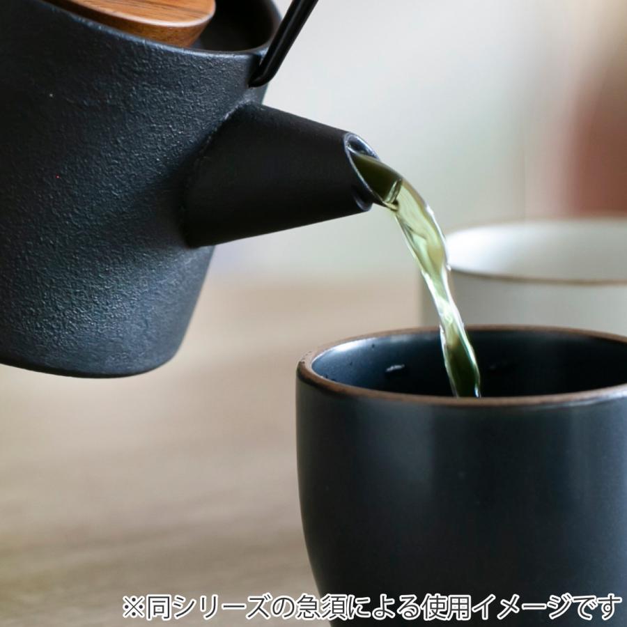 池永鉄工 鉄瓶 1L IH対応 tetu 南部鉄器 日本製 ( ガス火対応 池永鉄工 鉄瓶 1L IH対応 tetu 南部鉄器 日本製 ( ガス火対応
