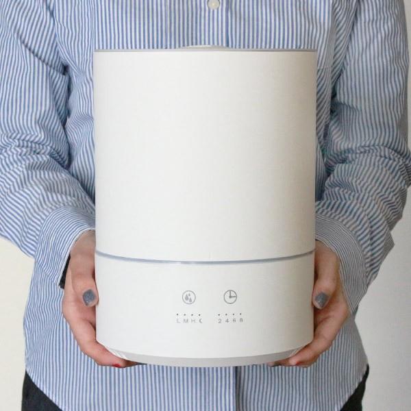 加湿器 上から給水 4L グリーンティーラボ 卓上 大容量 超音波 ミスト