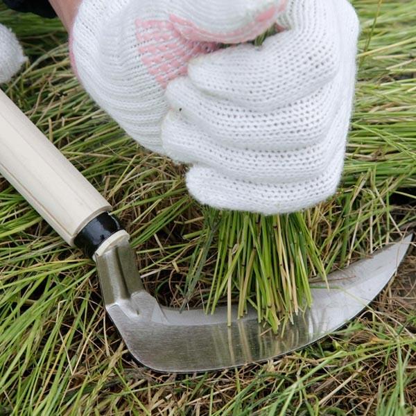 ガーデニング用品 鎌 ギザ刃鎌 段付き （ かま カマ 草刈り