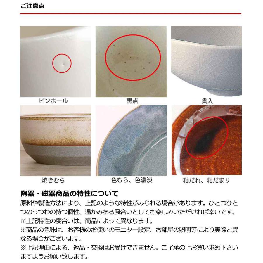 食器 10個入り 2色 ナチュラルカラー 美濃焼 磁器 （ 食洗機対応 電子レンジ対応 食器セット ペア プレート ボウル マグカップ ）｜livingut｜07