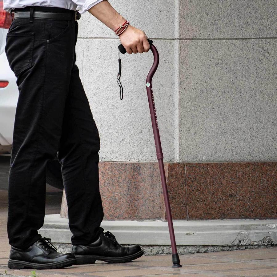 フジホーム 杖 フラミンゴN ステッキ 軽量 伸縮 女性 おしゃれ 介護