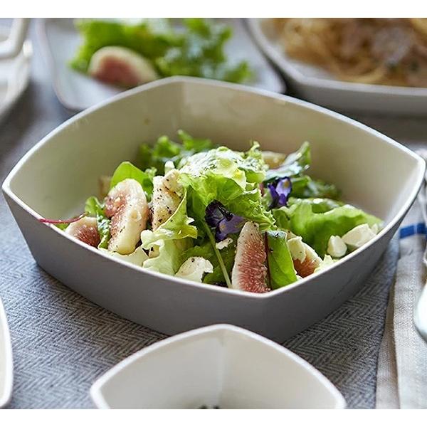 パスタ皿 超軽量食器】 レジェ 24.8cm パスタプレート ｜単品｜全3色｜日本製