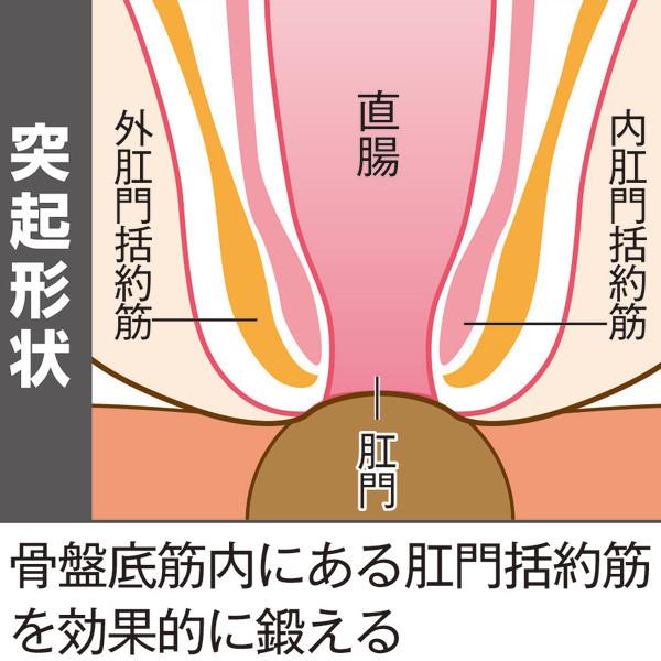 高知インター店 クッション 骨盤底筋モレトレ美クス エクササイズ用品 健康グッズ トレーニング用品 新作モデル Aleefsurgical Com