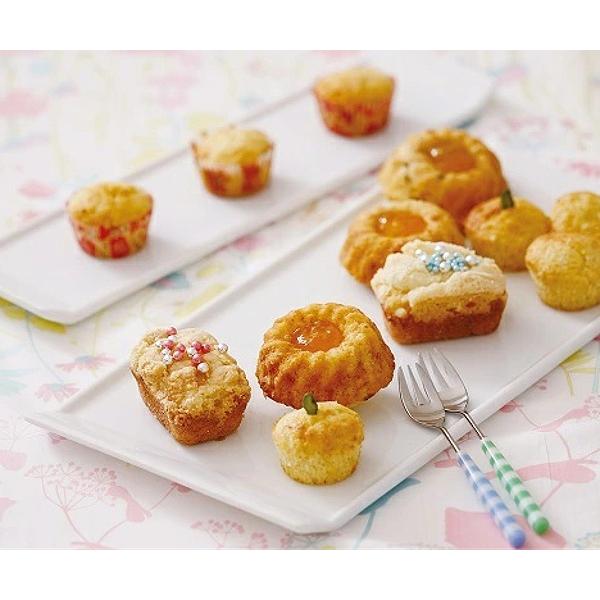 クグロフケーキ型 ミニ 6P 27cm スチール フッ素樹脂加工 富士ホーロー