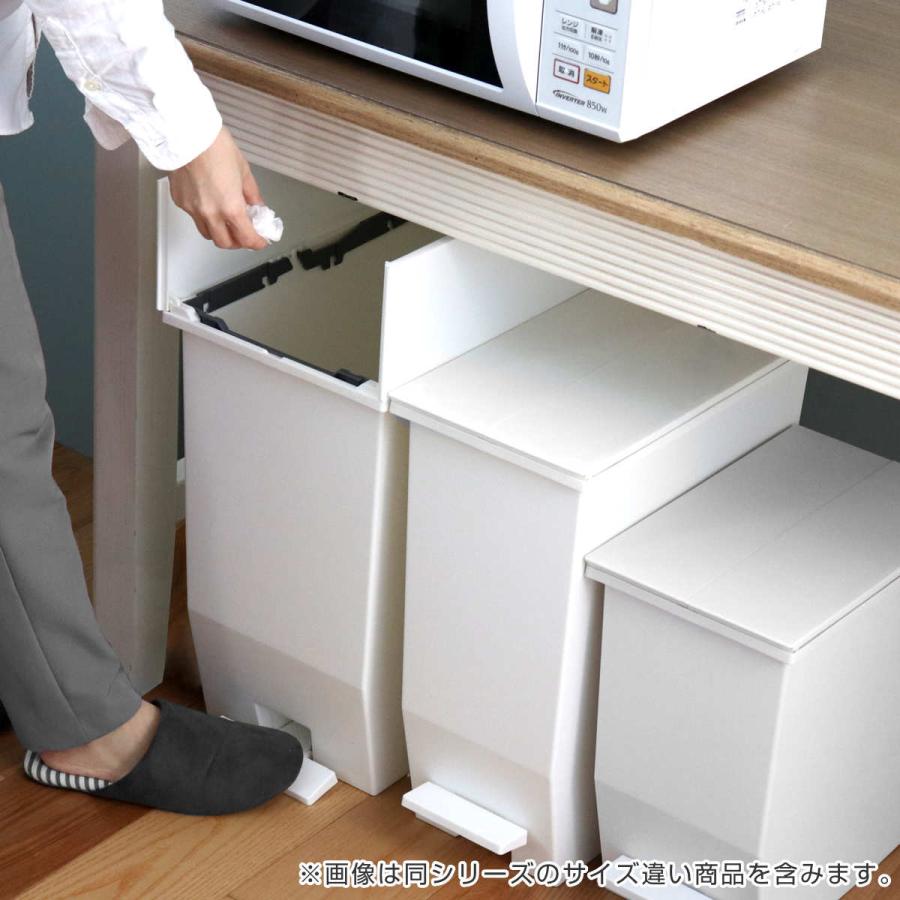 ゴミ箱 45L SOLOW ペダルオープンスリム ( ごみ箱 45リットル ソロウ ペダル式 ふた付き 両開き 分別 棚下 カウンター下 スリム ) :348406:リビングート ヤフー店 - 通販 - Yahoo!ショッピング ゴミ箱 45L SOLOW ペダルオープンスリム ( ごみ箱 45リットル ソロウ ペダル式 ふた付き 両開き 分別 棚下 カウンター下 スリム ) :348406:リビングート ヤフー店 - 通販 - Yahoo!ショッピング