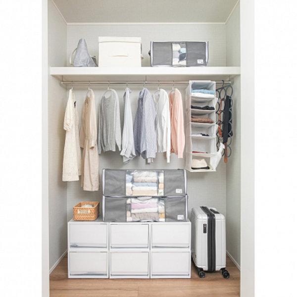 洋服 棚 東和産業 収納袋 衣類 幅48×奥行32×高さ24cm Mサイズ 仕切り付き 収納