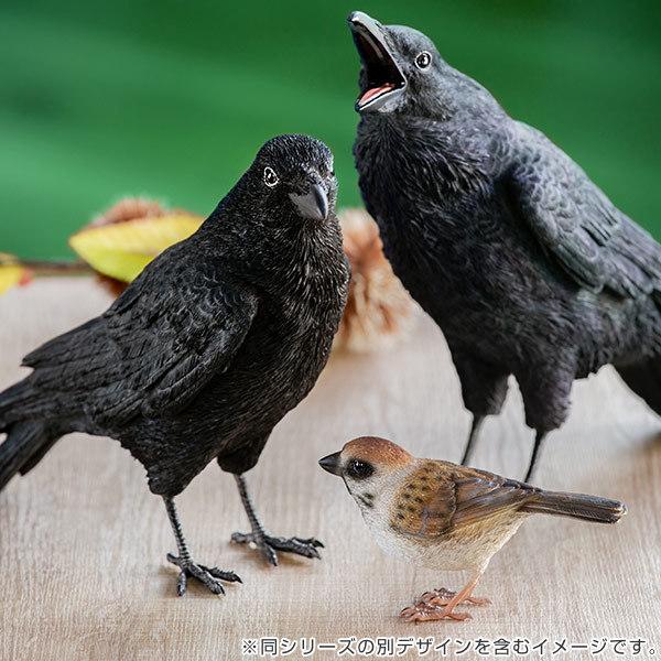 カラス 貯金箱 リアル オブジェ 置物 インテリア ( 雑貨 動物 カラス 貯金箱 リアル オブジェ 置物 インテリア ( 雑貨 動物