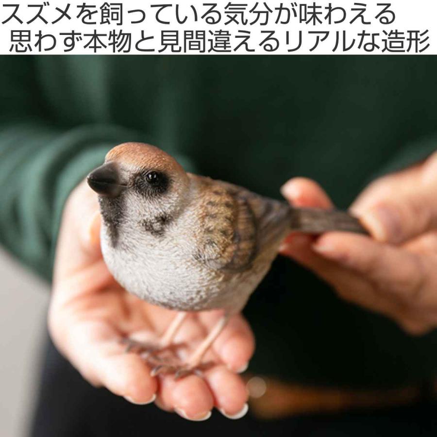 magnet オブジェ BIRDIE BILL スズメ マグネット付き ( 置き物 magnet オブジェ BIRDIE BILL スズメ マグネット付き ( 置き物