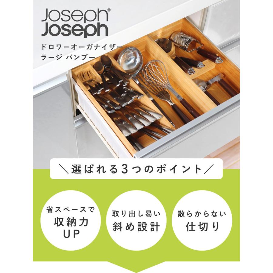 Joseph Joseph（ジョセフジョセフ） カトラリーケース ドロワー