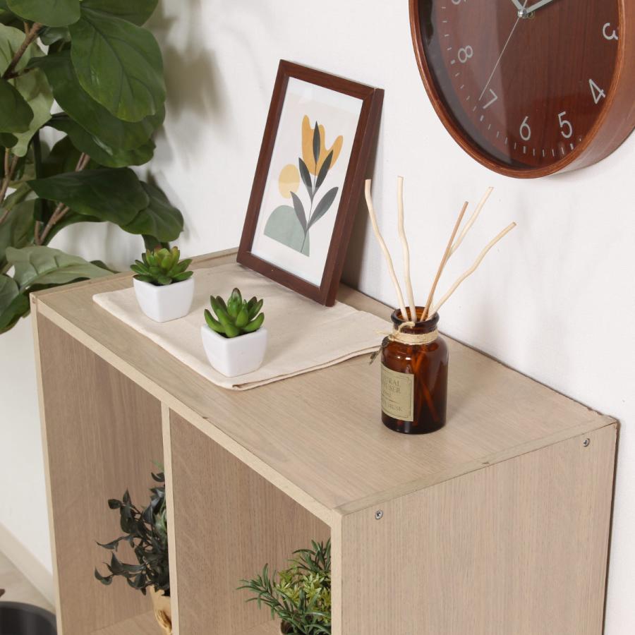 不二貿易（Fuji Boeki） カラーボックス 幅59cm 本棚 CDラック