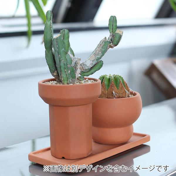 植木鉢 テラコッタ 鉢 プランター ポット スティッキー ダルトン DULTON （ プラントポット インテリア おしゃれ 園芸 ）｜livingut｜03