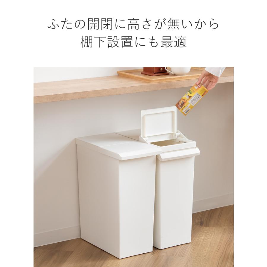 RISU（家具、インテリア） 特典付き ゴミ箱 30L TOSTE レバー