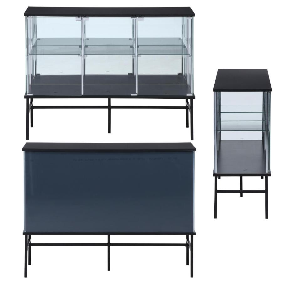 【新品】2段ワイド黒｜ガラスコレクションケース｜大人のフィギュア棚 キャビネット Amazon.co.jp: 生活グッズラボ ショーケース ガラスケース 2段両扉