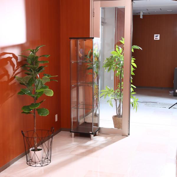 不二貿易（Fuji Boeki） コレクションケース 4段 脚付 ショーケース