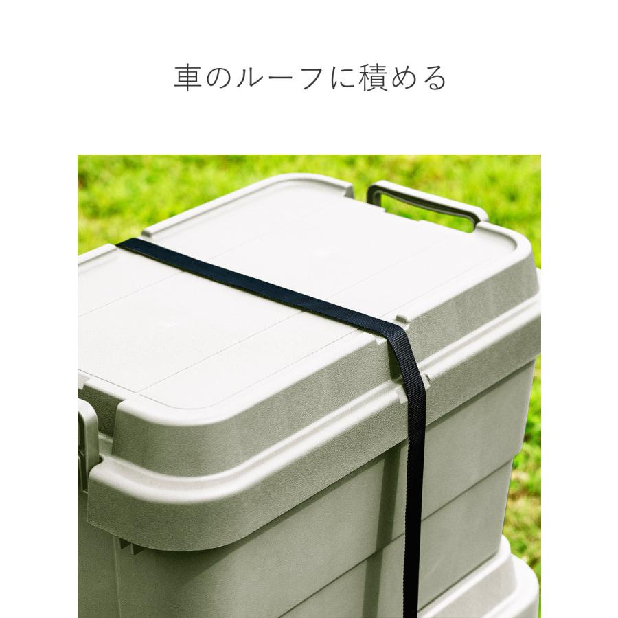 RISU（リス） 収納ボックス 幅60×奥行39×高さ35.7cm トランクカーゴ