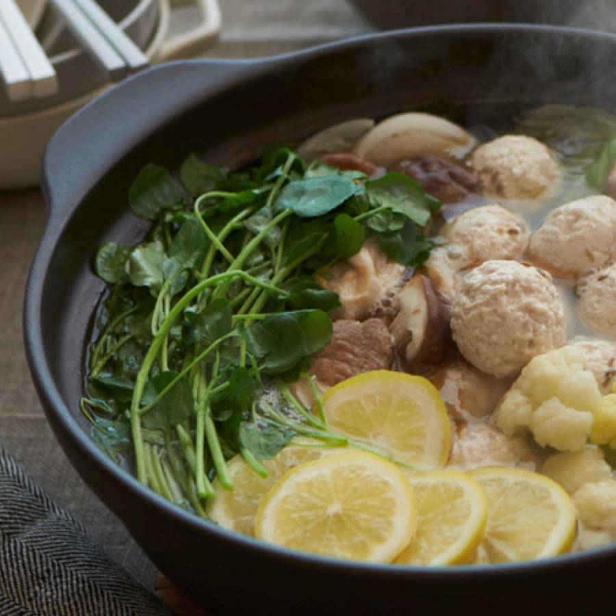 土鍋 8号 IH対応 サーマテック 超軽量IH土鍋 （ ガス火対応 電子レンジ