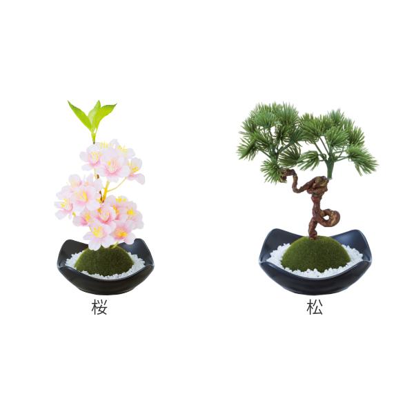 フレグランス 苔玉 盆栽 （ ルームフレグランス アロマ 芳香剤 ）｜livingut｜04