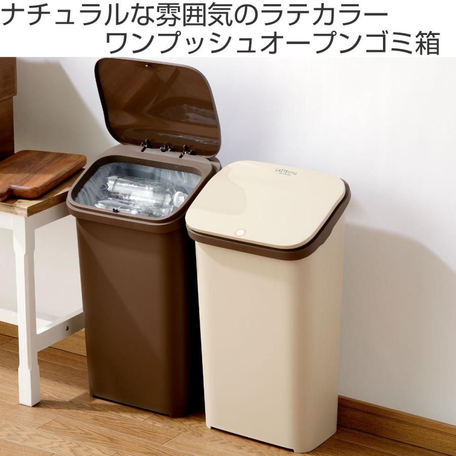 RISU（リス） ゴミ箱 19L ラテスタイル プッシュ式 ダストボックス