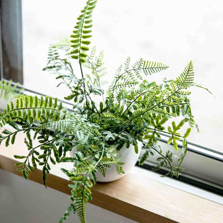 フェイクグリーン シダミックス エクリア ハンギング 人工観葉植物 インテリアグリーン 観葉植物 おしゃれ 造花 リアル 室内 消臭 抗菌 防汚 吊り下げ リビングート ヤフー店 通販 Yahoo ショッピング