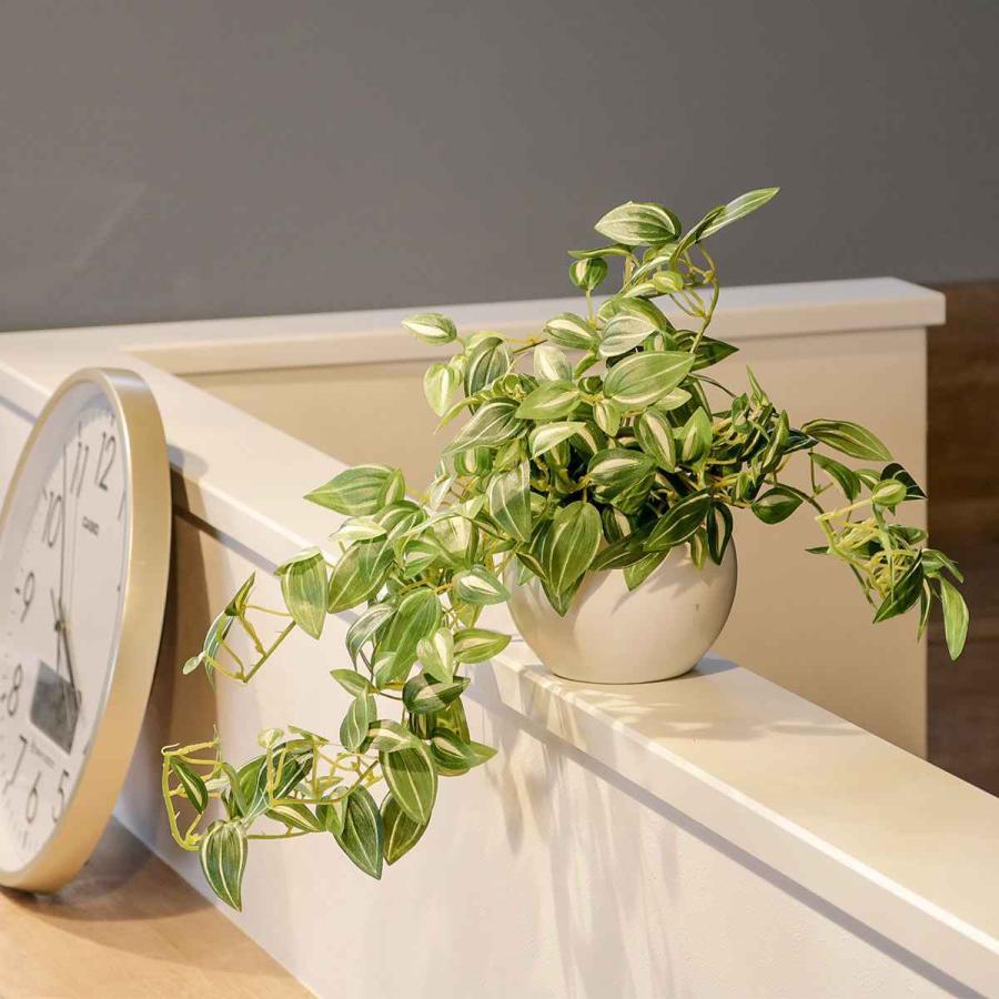 キシマ（KISHIMA） フェイクグリーン セブリナ エクリア ハンギング