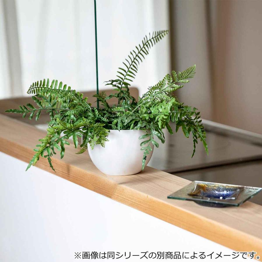 フェイクグリーン シュガーバイン エクリア ハンギング （ 人工観葉植物 インテリアグリーン 観葉植物 おしゃれ 造花 リアル 室内 消臭 抗菌 防汚 吊り下げ ）｜livingut｜06