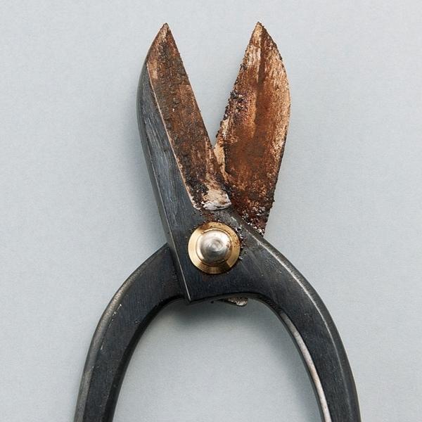 最大50 Offクーポン 錆取り剤 サビ取りスプレー サビ落とし 錆 サビ取り 赤サビ 黒錆 金属サビ 掃除 密着ジェル サビ取り先生 コジット 送料無料 Aknewsasia Com