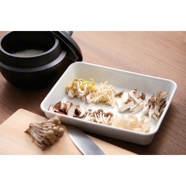 バット セラミック 20.6cm×26.5cm CERAMIC VAT M WITH GRATE 電子レンジ オーブン 食洗機対応 （ 角 ...