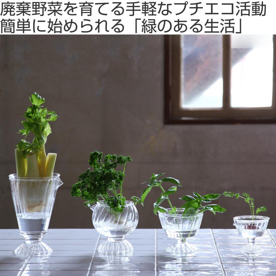 SPICE of Life 花瓶 リボベジ ガラス カップ Sサイズ