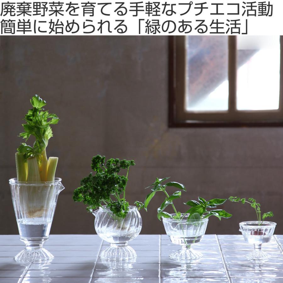 花瓶 リボベジ ガラス ラウンドカップ （ リボーンベジタブル ガラスカップ 器 家庭菜園 再生野菜 ）｜livingut｜02