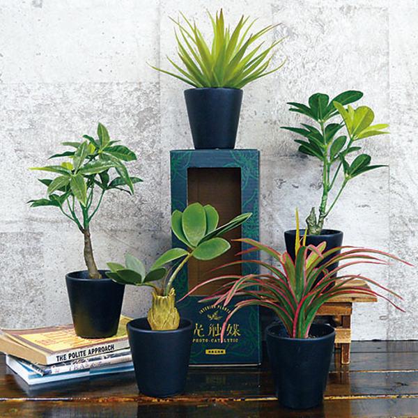 フェイクグリーン ブラックポットTS 光触媒 ( 人工観葉植物 インテリアグリーン 観葉植物 おしゃれ リアル 室内 消臭 抗菌 ) :377629:リビングート ヤフー店 - 通販 - Yahoo!ショッピング フェイクグリーン ブラックポットTS 光触媒 ( 人工観葉植物 インテリアグリーン 観葉植物 おしゃれ リアル 室内 消臭 抗菌 ) :377629:リビングート ヤフー店 - 通販 - Yahoo!ショッピング