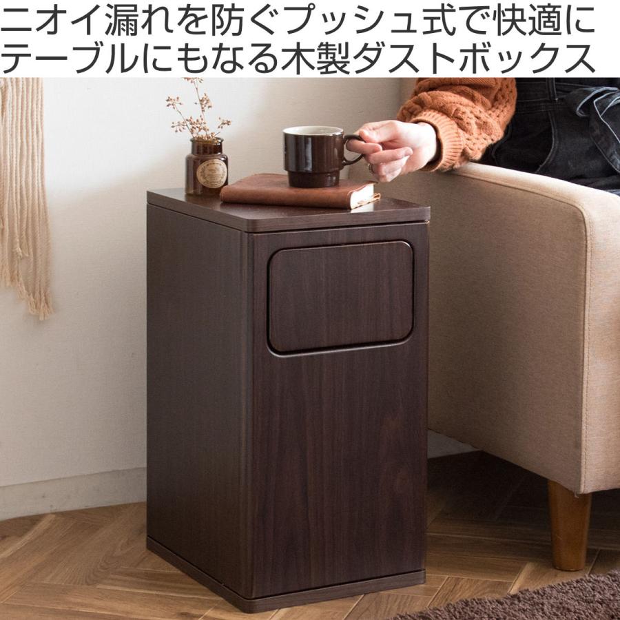 宮武製作所 ゴミ箱 20L Empro プッシュダストボックス ふた付き 宮武製作所 ゴミ箱 20L Empro プッシュダストボックス ふた付き