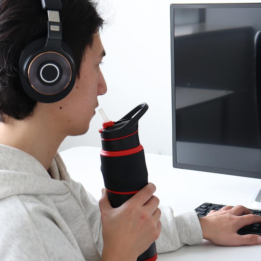 ピーコック魔法瓶工業 水筒 650ml ストロー ステンレス 保冷専用