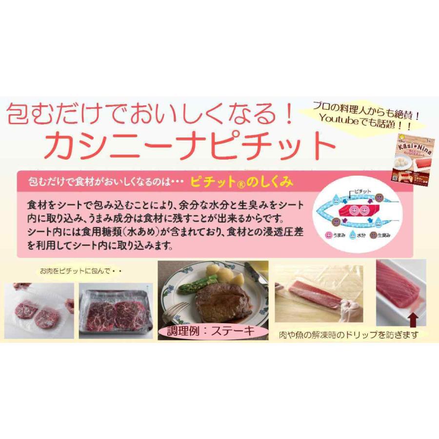 カシニーナ ピチットシート 5枚入 10個セット Xbjb5n4sus Www 4dgelateria Com Br