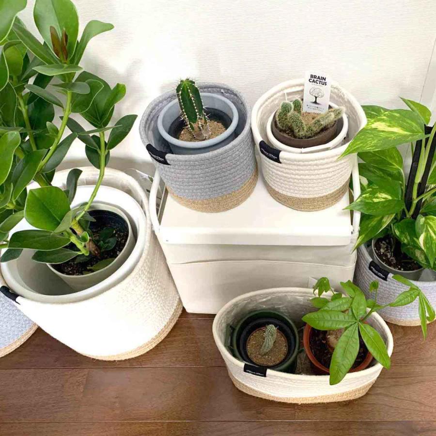 ロンドン購入 鉢カバー プランター 植物カバー 古道具坂田 プランターカバー S ロープ （ 鉢カバー プランター ポット