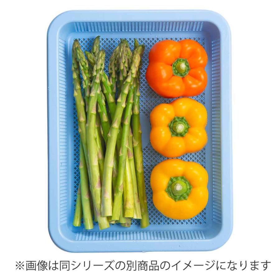 アシスト 抗菌角型ザル 浅1型 （ ざる ザル 浅型ザル 角ザル スクエア